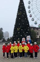 открытие елок