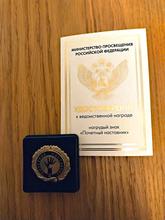 Почетный наставник